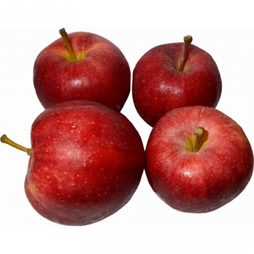 Alma Reid Chief (kg)